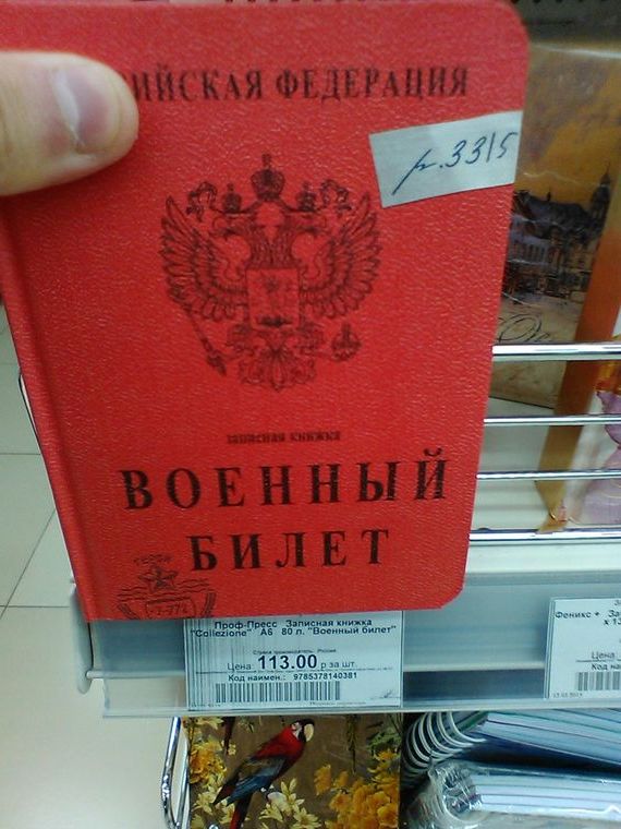 прописка в Белёве